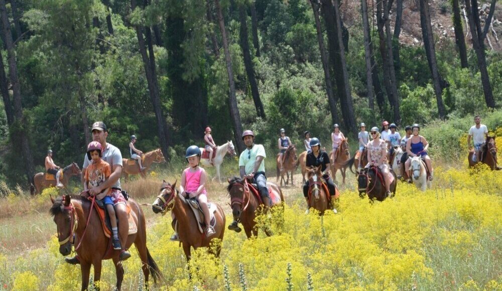 Marmaris Horse Riding Tour
