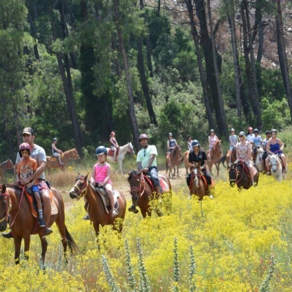 Marmaris Horse Riding Tour