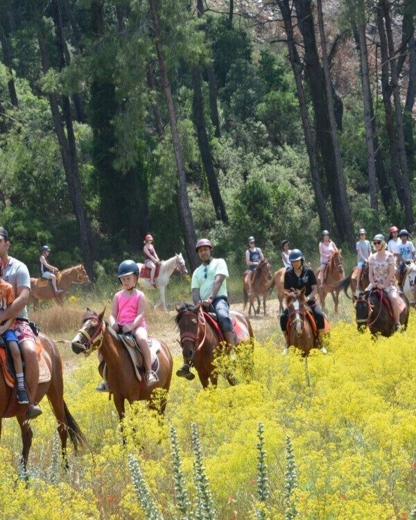 Marmaris Horse Riding Tour