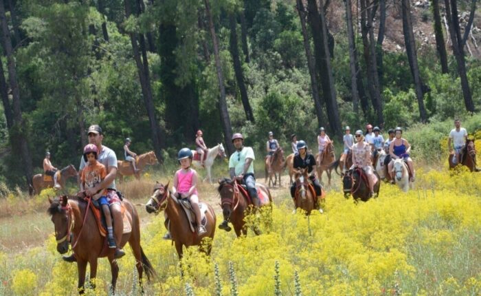 Marmaris Horse Riding Tour