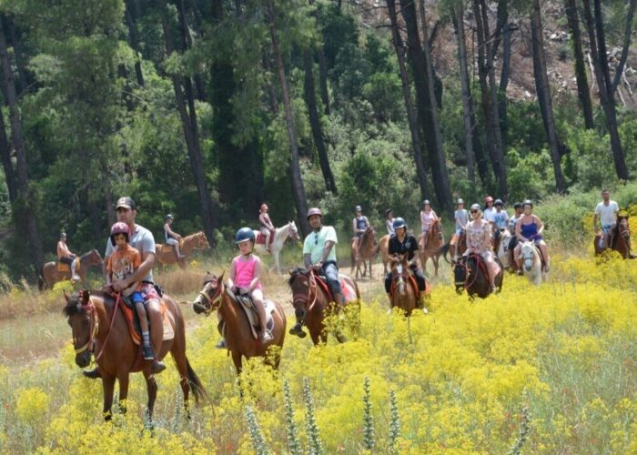 Marmaris Horse Riding Tour