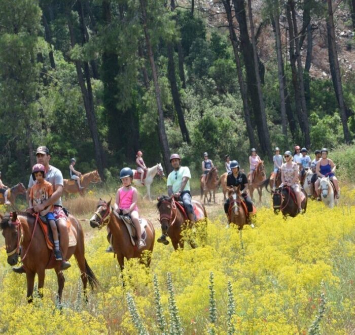 Marmaris Horse Riding Tour