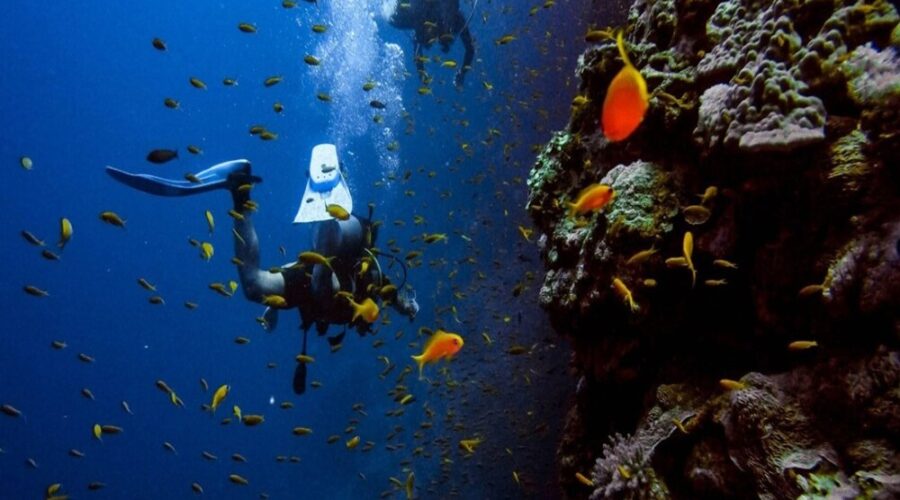Excursionstore.com